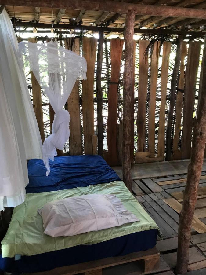 Miguel Surf Camp 호텔 케포스 외부 사진