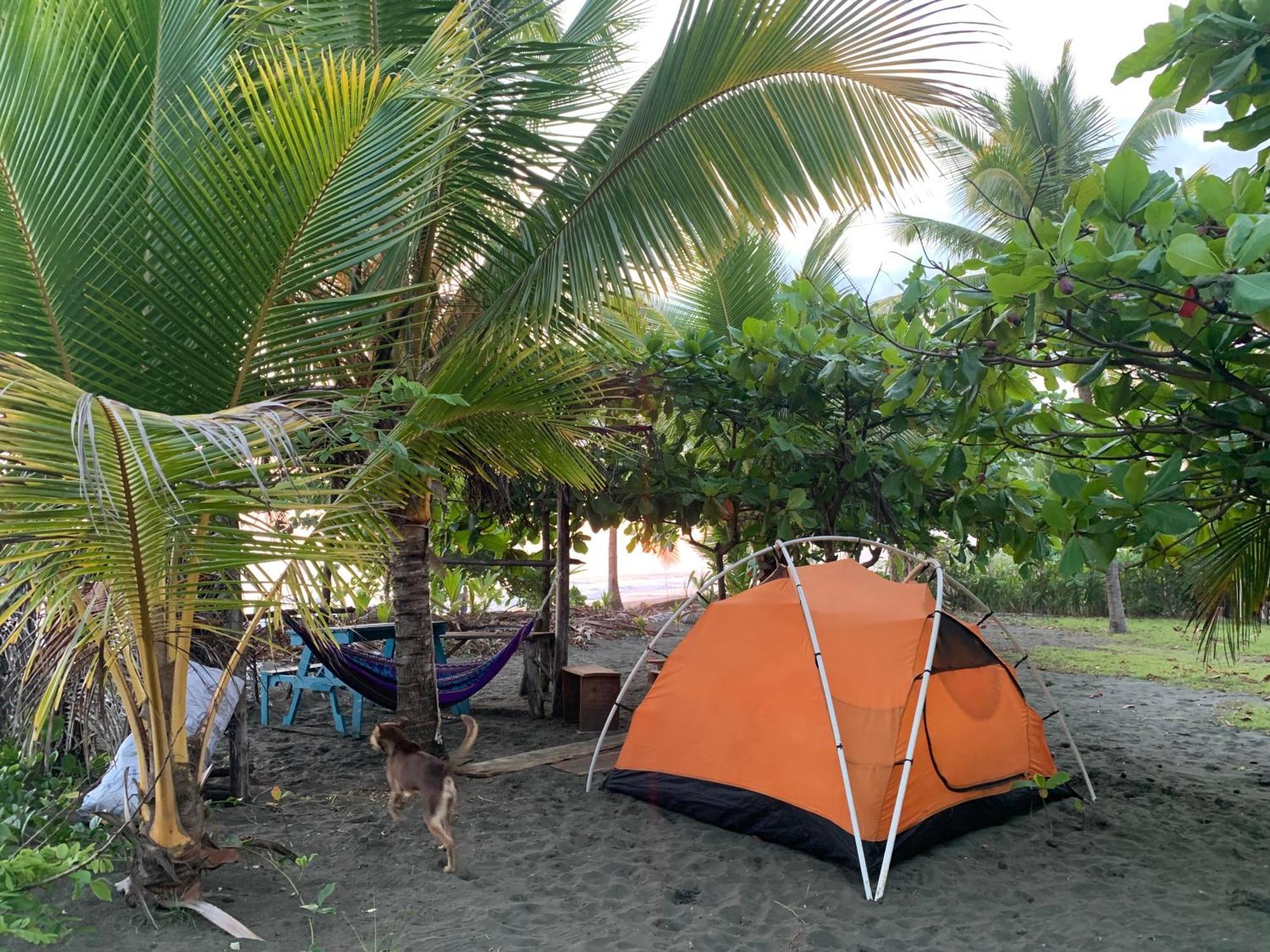 Miguel Surf Camp 호텔 케포스 외부 사진
