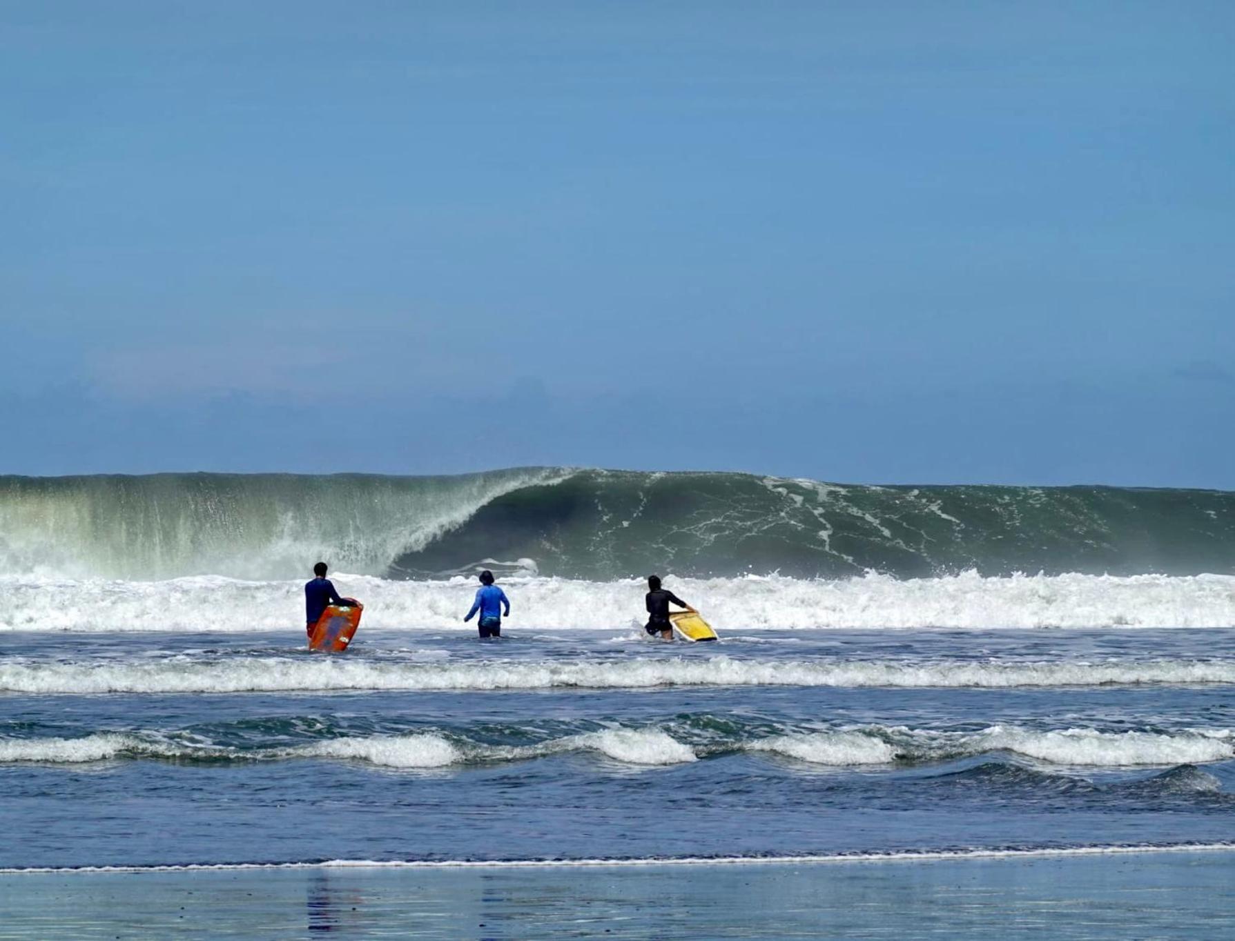 Miguel Surf Camp 호텔 케포스 외부 사진